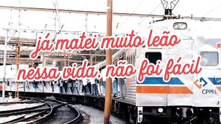 Isso é que é matar um leão por dia