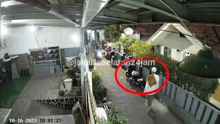 vehicle thief