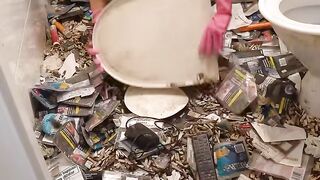 Cleaning of an abandoned house
