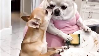 Funny