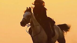 Dubai Desert Horse Ride Experience