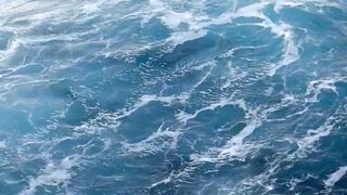 Sea day