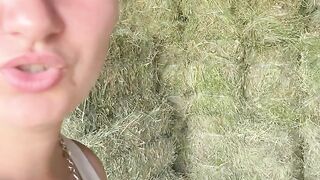 Caii lui Dragos Istrate 2