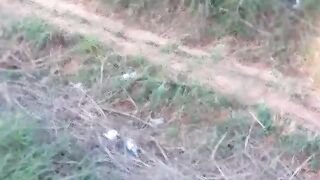 FAÇA ISSO AGORA OVELHA QUERIDA