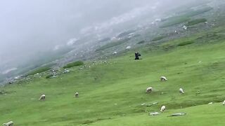 Travel With Salman 2