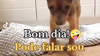 🤣🤣🤣😅kkkkk....
