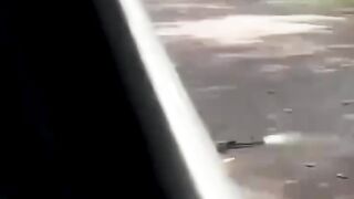 🐒🔫 Monkey Fires a Gun! 😱🔥 | Unbelievable AI Monkey Video #Shorts
