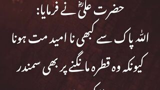 Islamic Learning 786