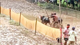 Tu kam Rani