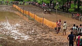 Gaon ki race