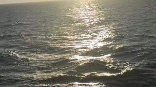 THE SUNRISE VIEW DECK