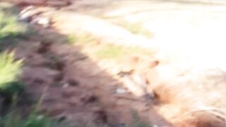 Ande muito divagar vai dar certo