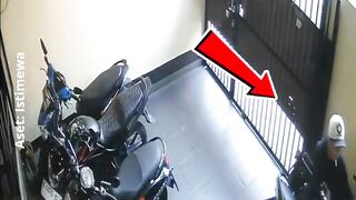 vehicle thief3