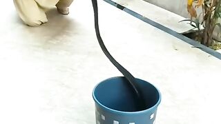 WA0003