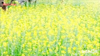 Beautiful Sindh Pakistan
