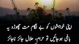 چلو مان لیا ہزاروں مجبوریوں میں گرا تھا وہ شخص