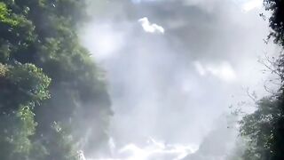 Nature video