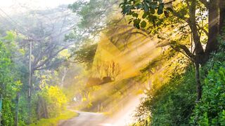 Nature video