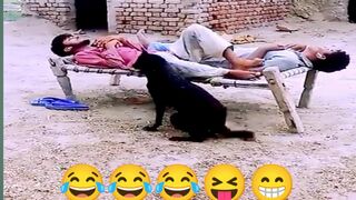 Funny clip