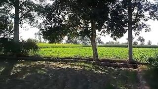 Village Life in pakistan
