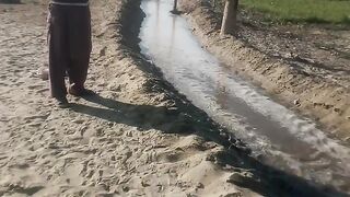 Gandam ko pani lgatay huay
