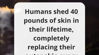 Amazing Facts About HUMANS