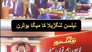Pmln zindabad