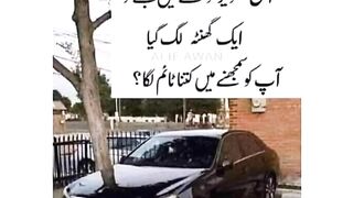 Amazing picture check / is tasveer ko gore se dekhain