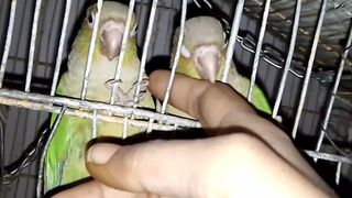 My First Video On Febspot ????✌️
