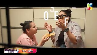 Pakistani Drama Meesni