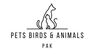 cute pets