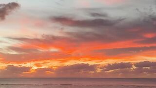 Tropical Beach Sunset Over the Ocean with Palm Trees and Dramatic Orange Sky