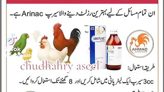 Murgaue ke medicine