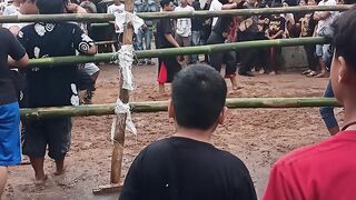 KAPAS