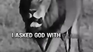 I asked God…