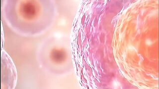 Male & Female Reproductive System Explained 🧬 | Human Biology in 40 Seconds 🔬