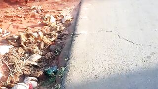 CONTINUE VOCÊ ESTÁ INDO BEM OVELHA QUERIDA