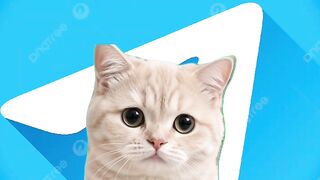 Ttvip.  10$ trad