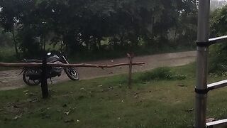 funny 402