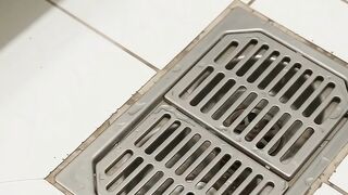 Como acabar com as baratas francesinhas na cozinha e no sofá de casa