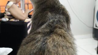 Cinzinha está preocupada