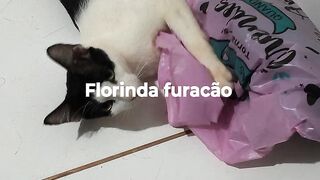 Florinda furacão
