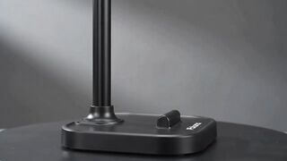 Mobile Stand 2
