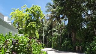 Beautiful day 9