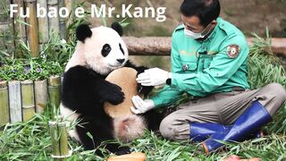 FU BAO E MR. KANG