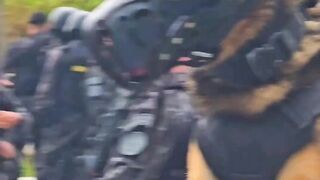 CÃO DE POLICIA