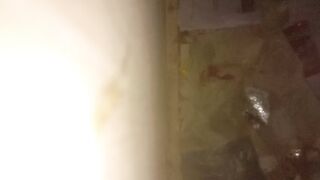Mini Vlog 13