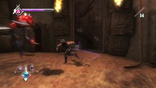 Ninja Gaiden desafio eita