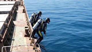 They Explored a Sunken Shipwreck… Then a Giant Fish Attacked 😳🌊