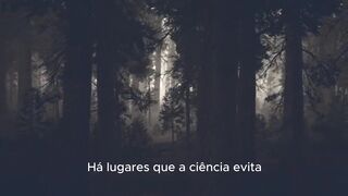 Será que Nessie existe? As evidências mais perturbadoras